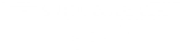 logo-vulcanet-company-2015-BLANC