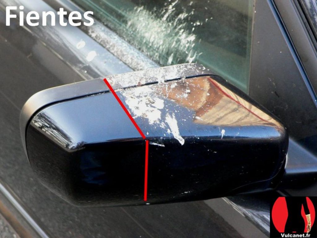 Fientes oiseaux auto Vulcanet