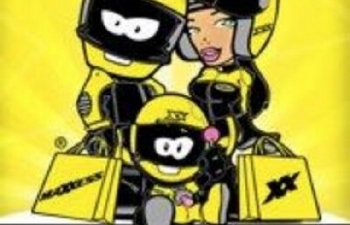 Maxxess & Vulcanet